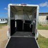 2 horse straight load - Image 4